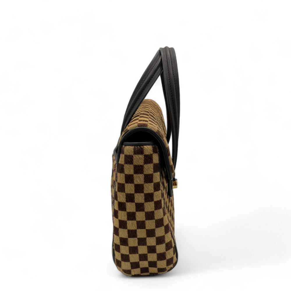 Louis Vuitton Handtasche Damier Sauvage Lionne braun