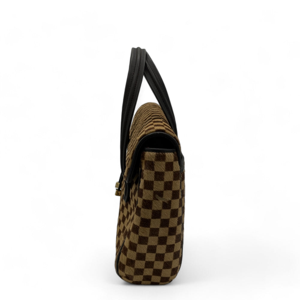 Louis Vuitton Handtasche Damier Sauvage Lionne braun