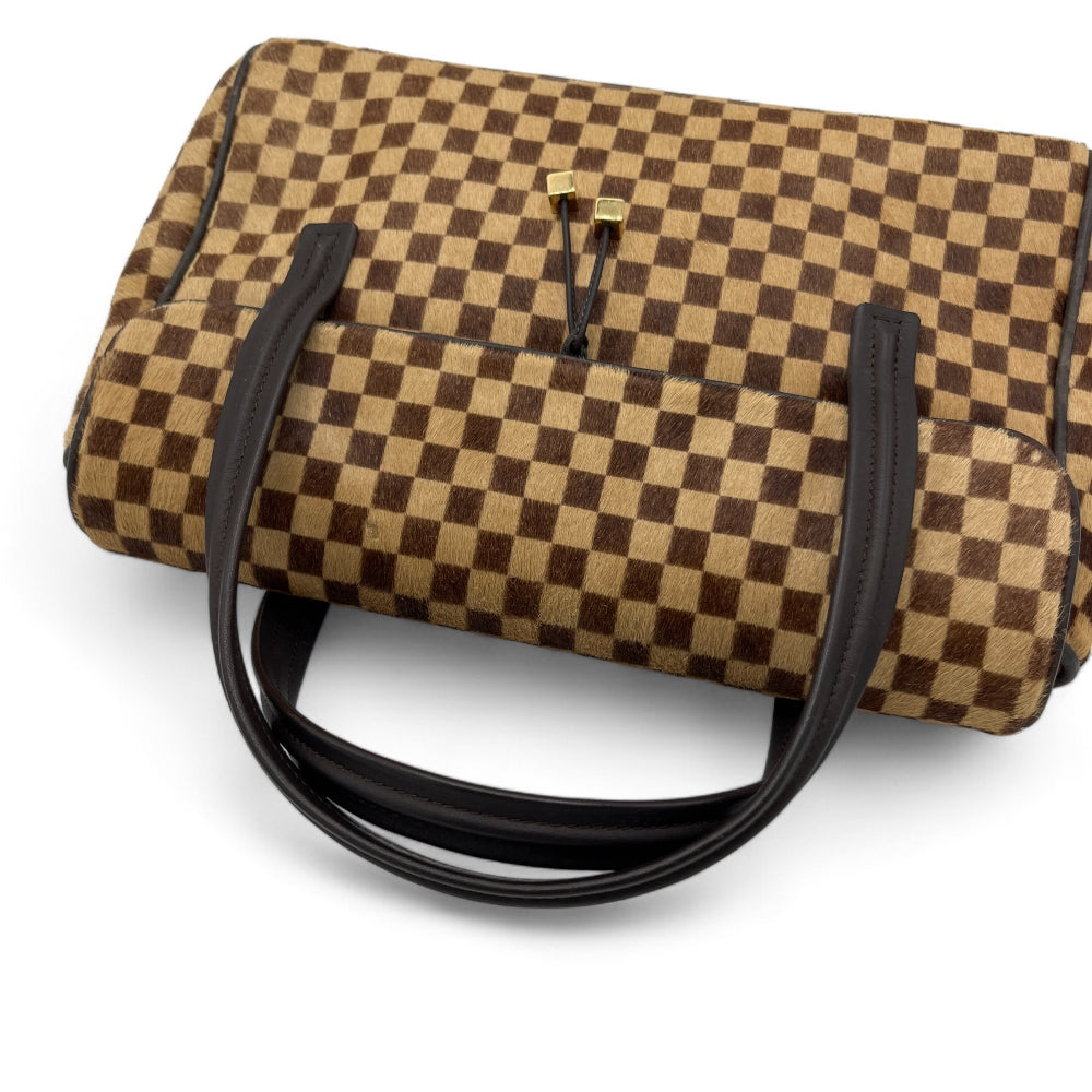 Louis Vuitton Handtasche Damier Sauvage Lionne braun