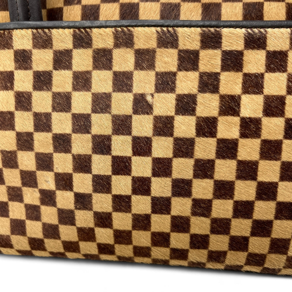 Louis Vuitton Handtasche Damier Sauvage Lionne braun