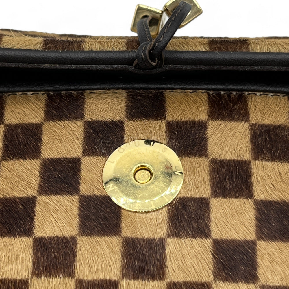 Louis Vuitton Handtasche Damier Sauvage Lionne braun