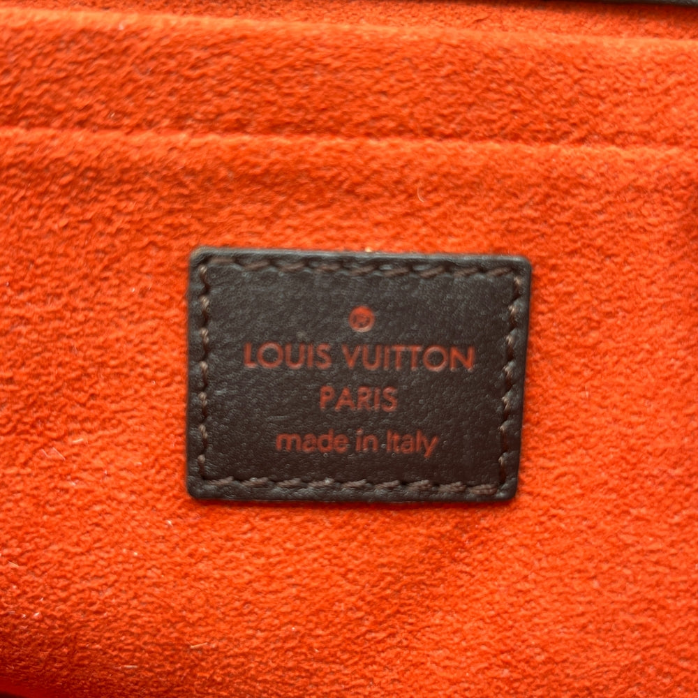 Louis Vuitton Handtasche Damier Sauvage Lionne braun